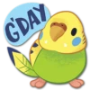 G'DAY
