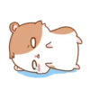 Hamster's small routine. 22