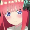 Nino 29