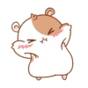 Hamster's small routine. 23