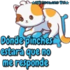 Gatitu amor tóxico ️ 29