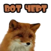 BOT HEPT