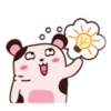 Hamster 5