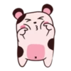 Hamster 8