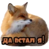 ДА ВСТАЛЯ!