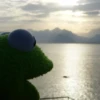 Kermit The Frog 6