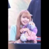 Lisafansignpacklily 7