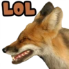 LOL