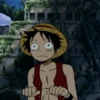 Luffy 9