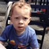 Gavin 7
