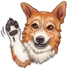 Dog it! 6