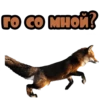 го со мной