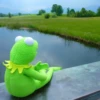 Kermit The Frog 10