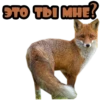 STO TDI MHE?