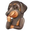 Dog it! 8