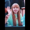 Lisafansignpacklily 9