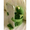 Kermit The Frog 11