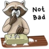 Criminal Raccoon 10