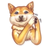 Dog it! 10