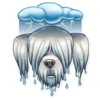 Dog it! 11