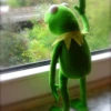 Kermit The Frog 12