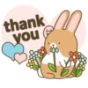 Coffee Rabbit 13