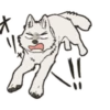 Cute wolf family 7