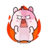 Kiki Hamster 8