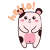 Hamster 13