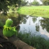 Kermit The Frog 13