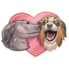 Dog it! 13