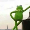Kermit The Frog 16