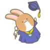 Coffee Rabbit 15
