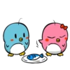 Lovely couple penguins - 14