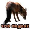 чию подвох