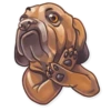 Dog it! 14