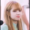 Lisafansignpacklily 13