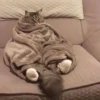 Kittenaku 13