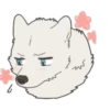 Cute wolf family 11