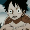 Luffy 14