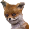 lisaone 15