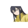 SAO Alternative 18