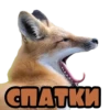 CHATKИ