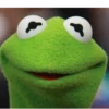 Kermit The Frog 18
