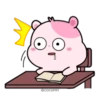 Kiki Hamster 13
