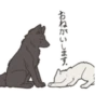 Cute wolf family 15