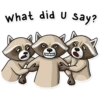 Criminal Raccoon 18