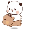 Milk Mocca Bear 16