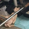 Kittenaku 14
