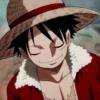 Luffy 15